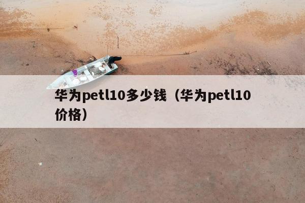 华为petl10多少钱（华为petl10价格）