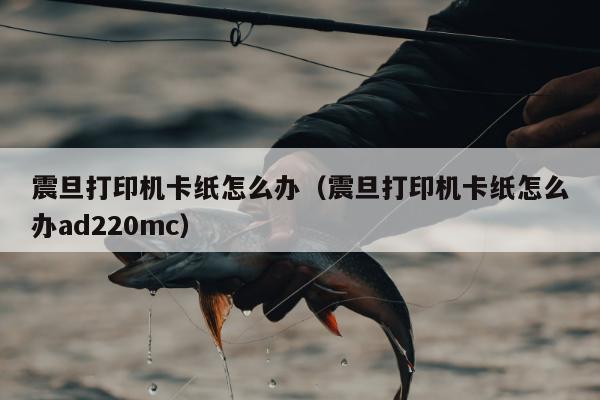 震旦打印机卡纸怎么办（震旦打印机卡纸怎么办ad220mc）