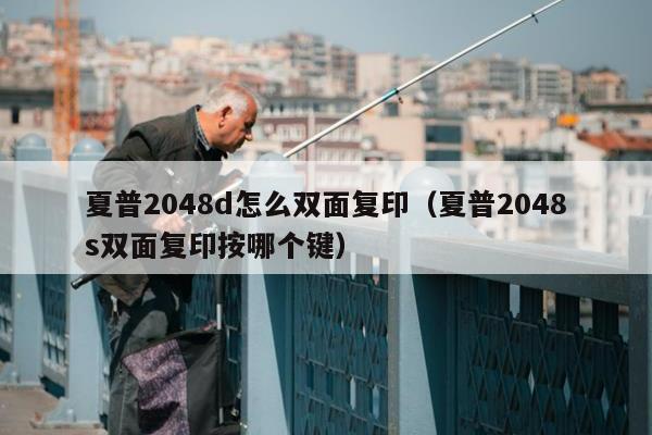 夏普2048d怎么双面复印（夏普2048s双面复印按哪个键）