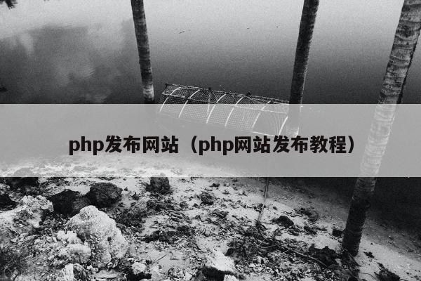 php发布网站（php网站发布教程）