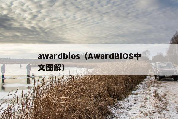 awardbios（AwardBIOS中文图解）