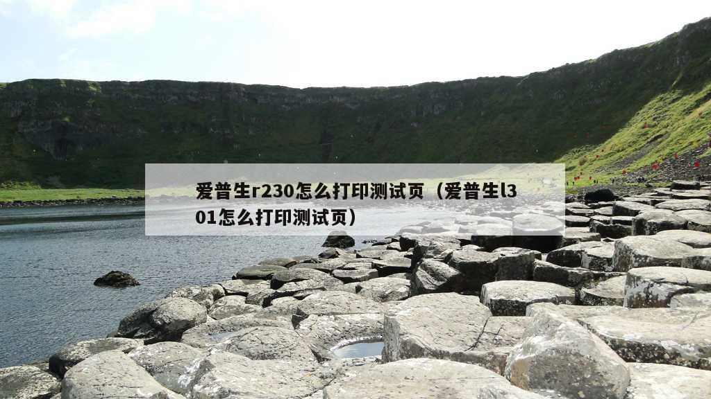 爱普生r230怎么打印测试页（爱普生l301怎么打印测试页）