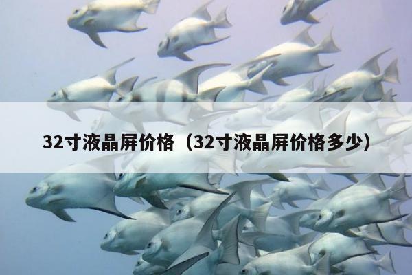 32寸液晶屏价格（32寸液晶屏价格多少）