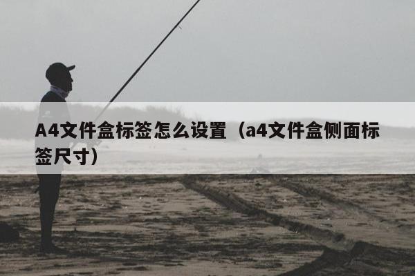 A4文件盒标签怎么设置（a4文件盒侧面标签尺寸）