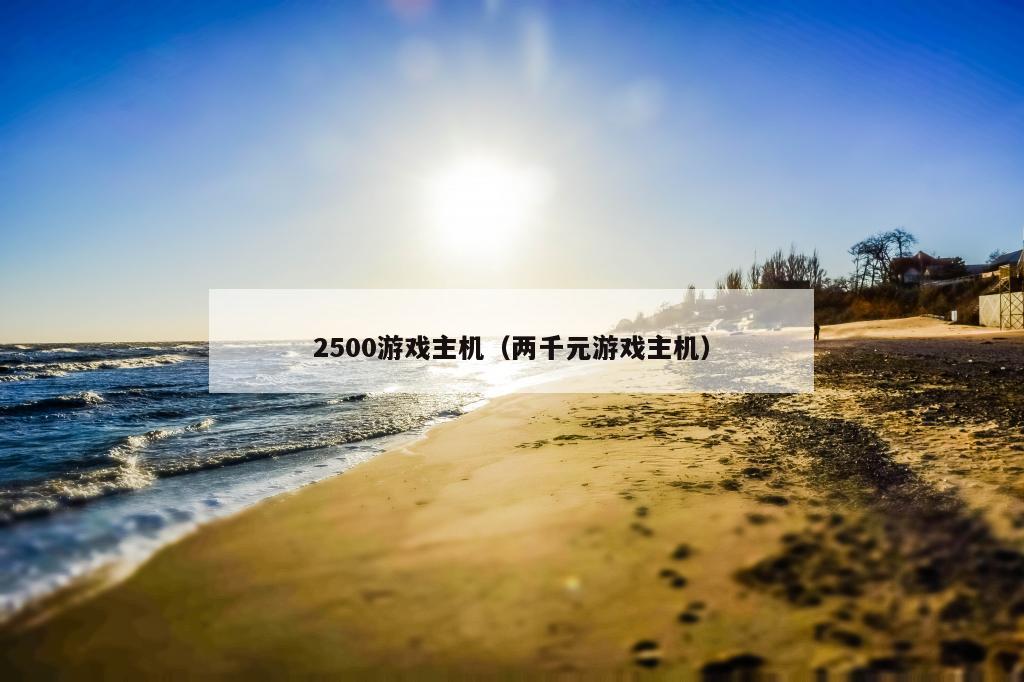 2500游戏主机（两千元游戏主机）