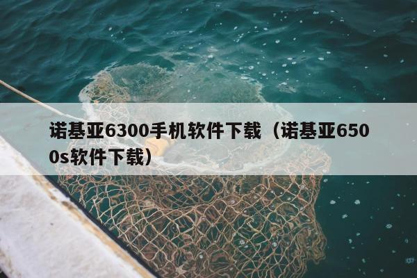 诺基亚6300手机软件下载（诺基亚6500s软件下载）