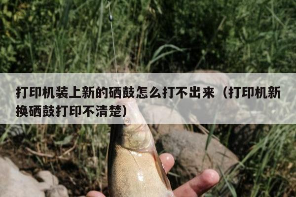 打印机装上新的硒鼓怎么打不出来（打印机新换硒鼓打印不清楚）