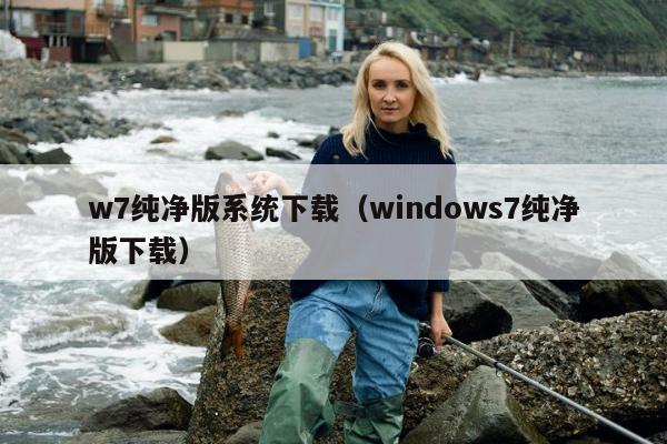 w7纯净版系统下载（windows7纯净版下载）