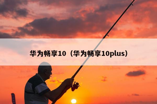 华为畅享10（华为畅享10plus）