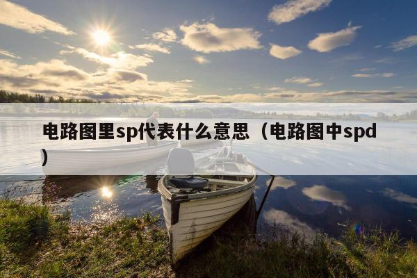 电路图里sp代表什么意思（电路图中spd）