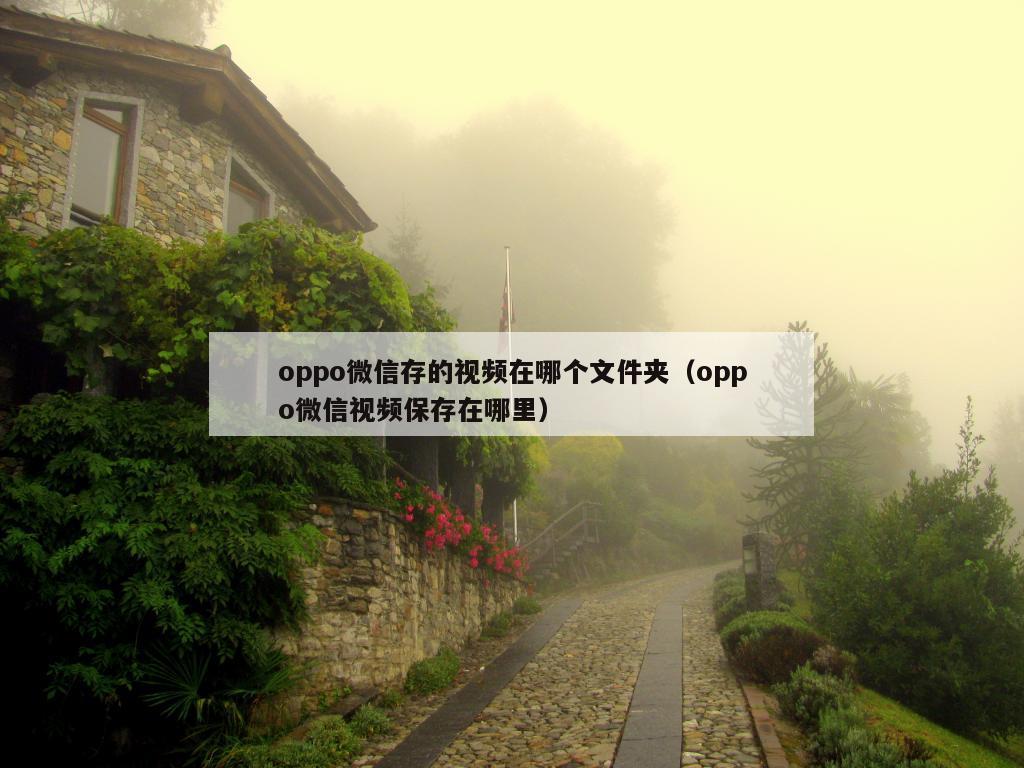 oppo微信存的视频在哪个文件夹（oppo微信视频保存在哪里）