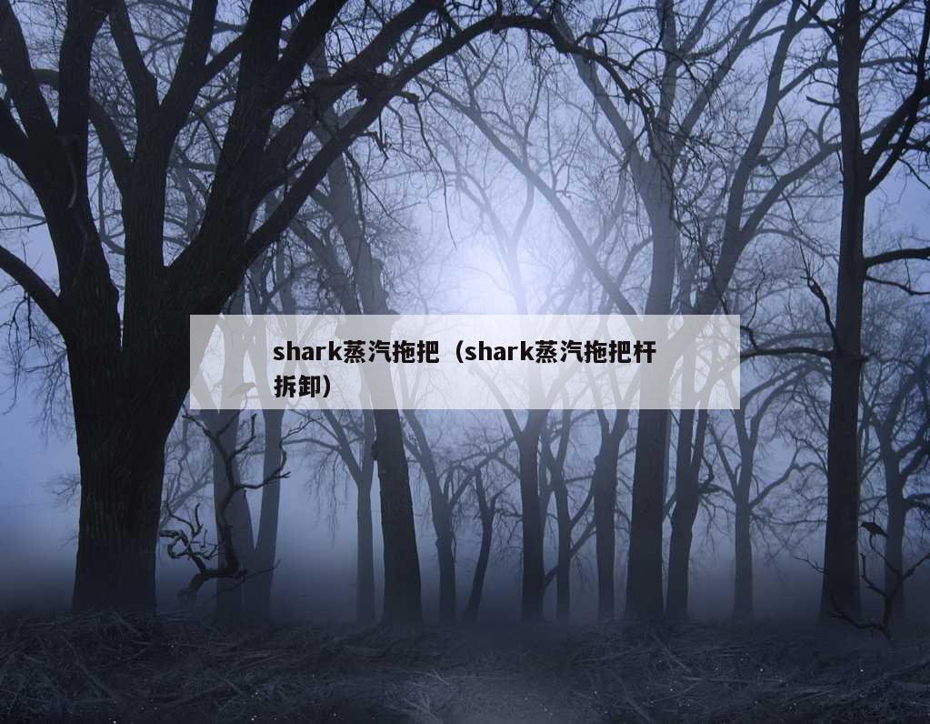 shark蒸汽拖把（shark蒸汽拖把杆拆卸）