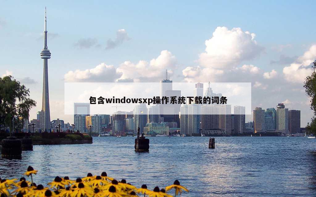 包含windowsxp操作系统下载的词条