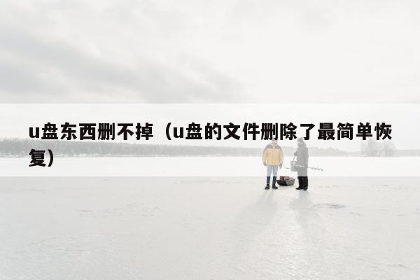 u盘东西删不掉（u盘的文件删除了最简单恢复）