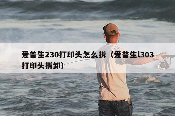 爱普生230打印头怎么拆（爱普生l303打印头拆卸）