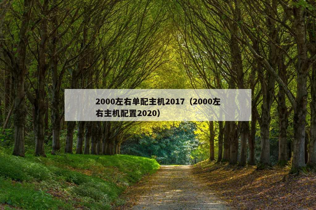 2000左右单配主机2017（2000左右主机配置2020）