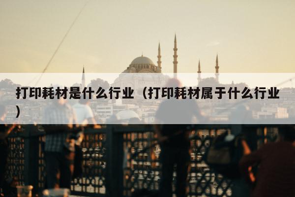 打印耗材是什么行业（打印耗材属于什么行业）