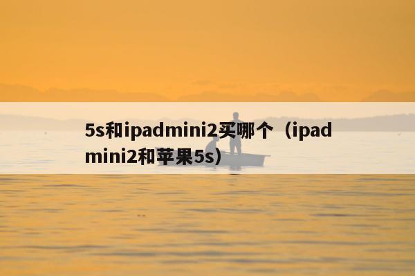 5s和ipadmini2买哪个（ipadmini2和苹果5s）