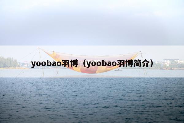 yoobao羽博（yoobao羽博简介）