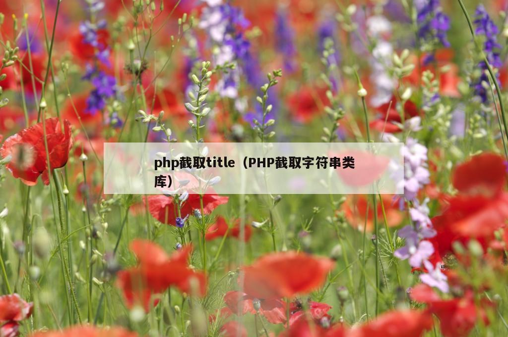 php截取title（PHP截取字符串类库）