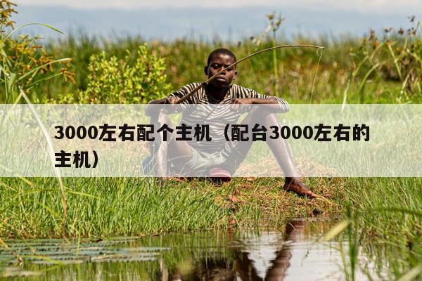 3000左右配个主机（配台3000左右的主机）