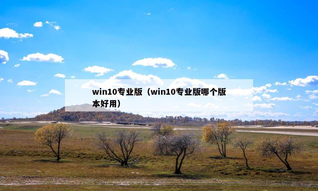 win10专业版（win10专业版哪个版本好用）