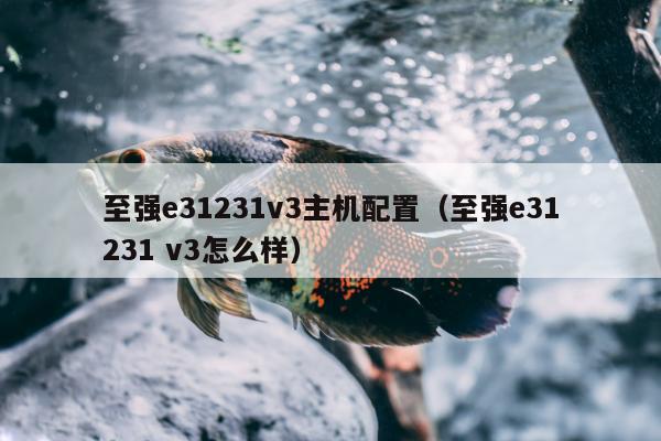 至强e31231v3主机配置（至强e31231 v3怎么样）