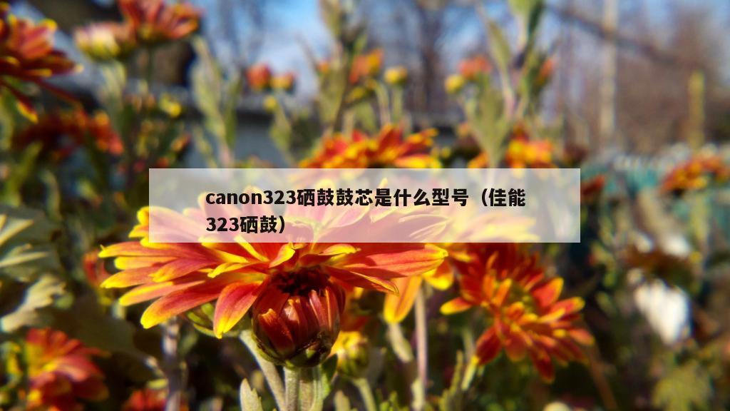 canon323硒鼓鼓芯是什么型号（佳能323硒鼓）