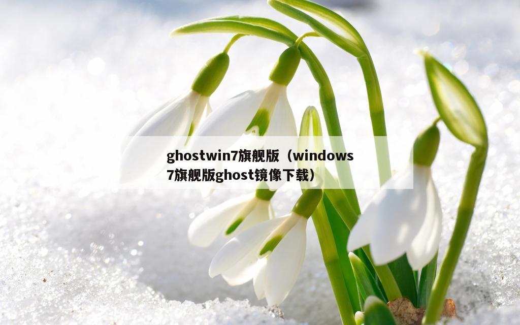 ghostwin7旗舰版（windows7旗舰版ghost镜像下载）