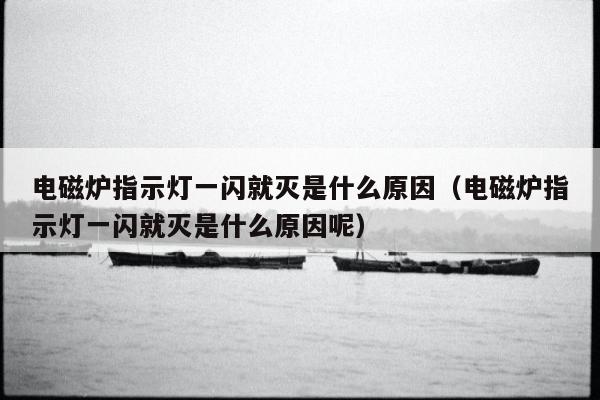 电磁炉指示灯一闪就灭是什么原因（电磁炉指示灯一闪就灭是什么原因呢）