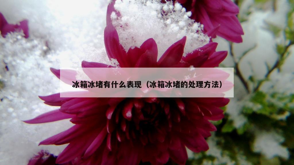 冰箱冰堵有什么表现（冰箱冰堵的处理方法）