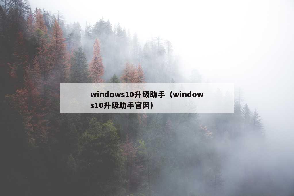 windows10升级助手（windows10升级助手官网）