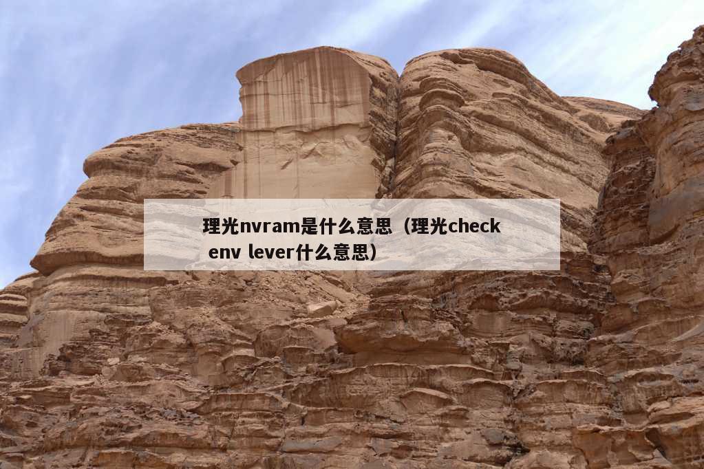 理光nvram是什么意思（理光check env lever什么意思）