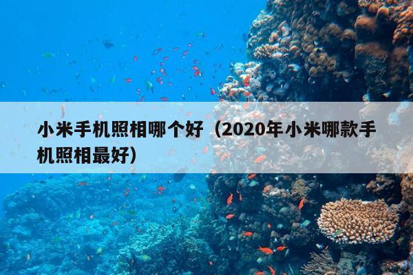 小米手机照相哪个好（2020年小米哪款手机照相最好）