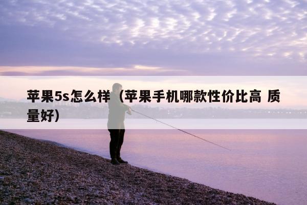 苹果5s怎么样（苹果手机哪款性价比高 质量好）