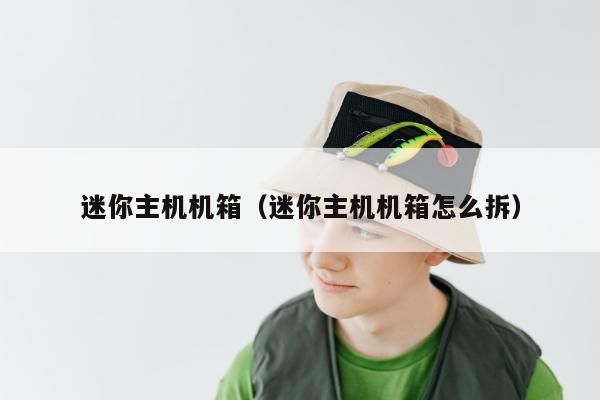 迷你主机机箱（迷你主机机箱怎么拆）