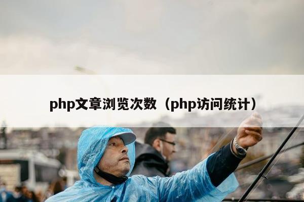 php文章浏览次数（php访问统计）