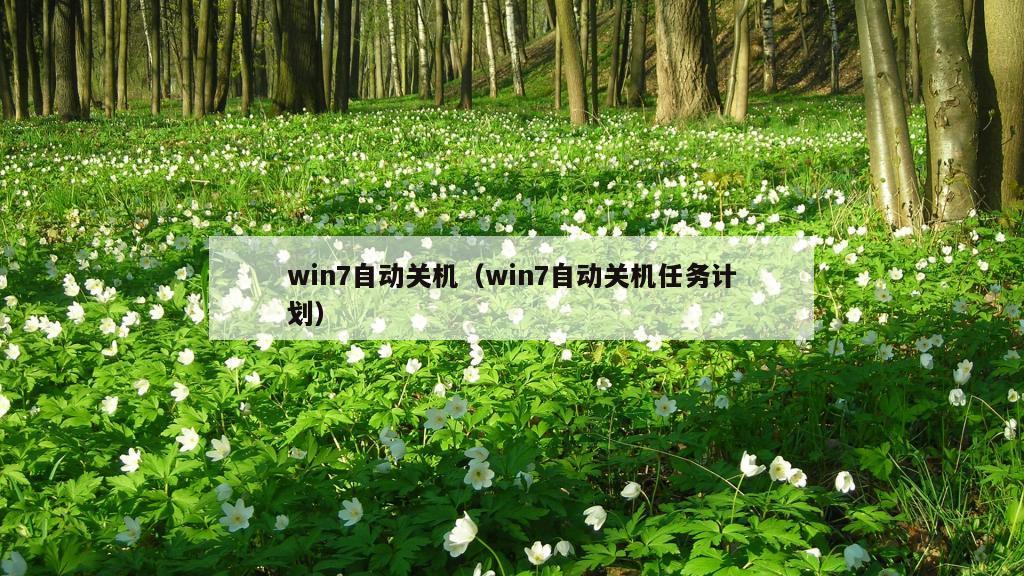 win7自动关机（win7自动关机任务计划）