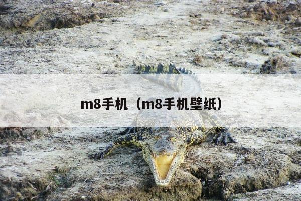 m8手机（m8手机壁纸）