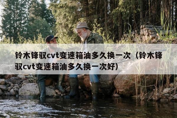 铃木锋驭cvt变速箱油多久换一次（铃木锋驭cvt变速箱油多久换一次好）