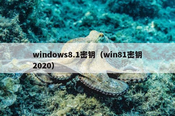 windows8.1密钥（win81密钥2020）