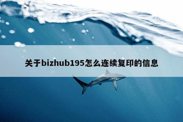 关于bizhub195怎么连续复印的信息