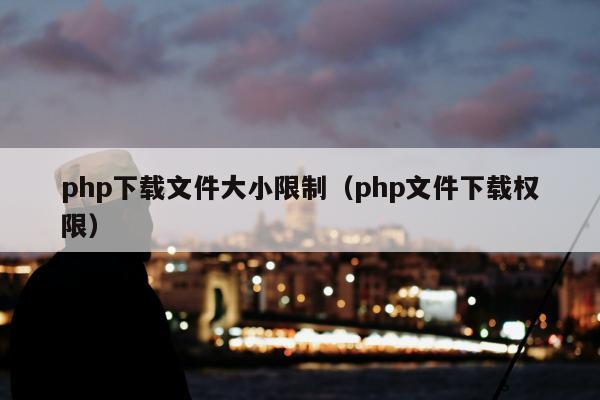 php下载文件大小限制（php文件下载权限）