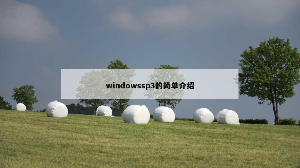 windowssp3的简单介绍