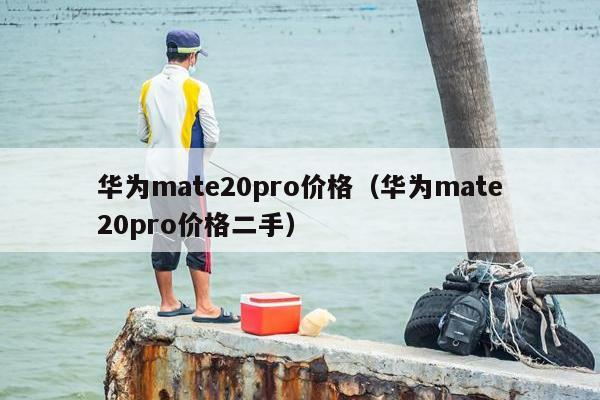 华为mate20pro价格（华为mate20pro价格二手）