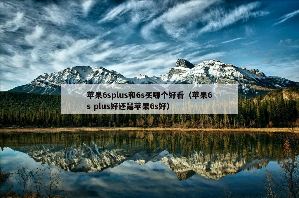 苹果6splus和6s买哪个好看（苹果6s plus好还是苹果6s好）