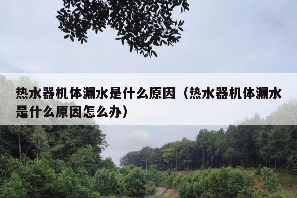 热水器机体漏水是什么原因（热水器机体漏水是什么原因怎么办）