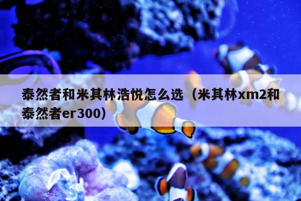 泰然者和米其林浩悦怎么选（米其林xm2和泰然者er300）