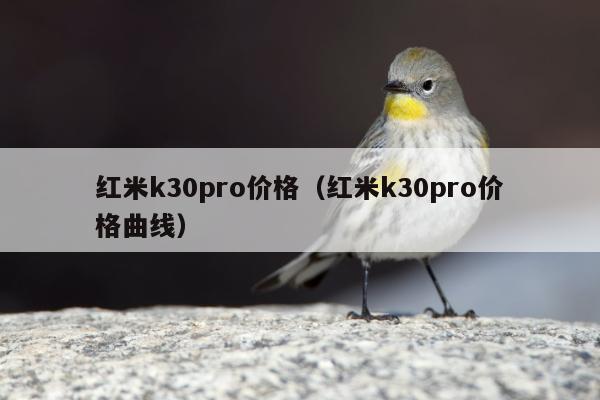 红米k30pro价格（红米k30pro价格曲线）