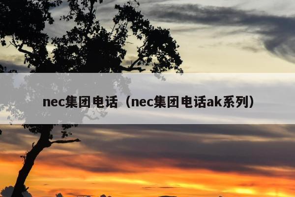 nec集团电话（nec集团电话ak系列）